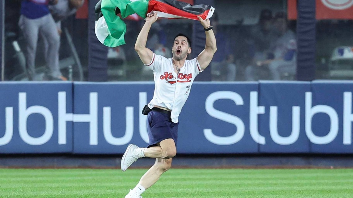 Baseball Fans Want Protester Banned From Yankee Stadium For Life