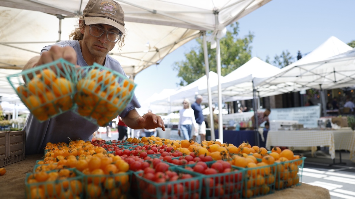 How Farmers Market Vendor Trust Unlocks Better Seasonal Produce Hauls