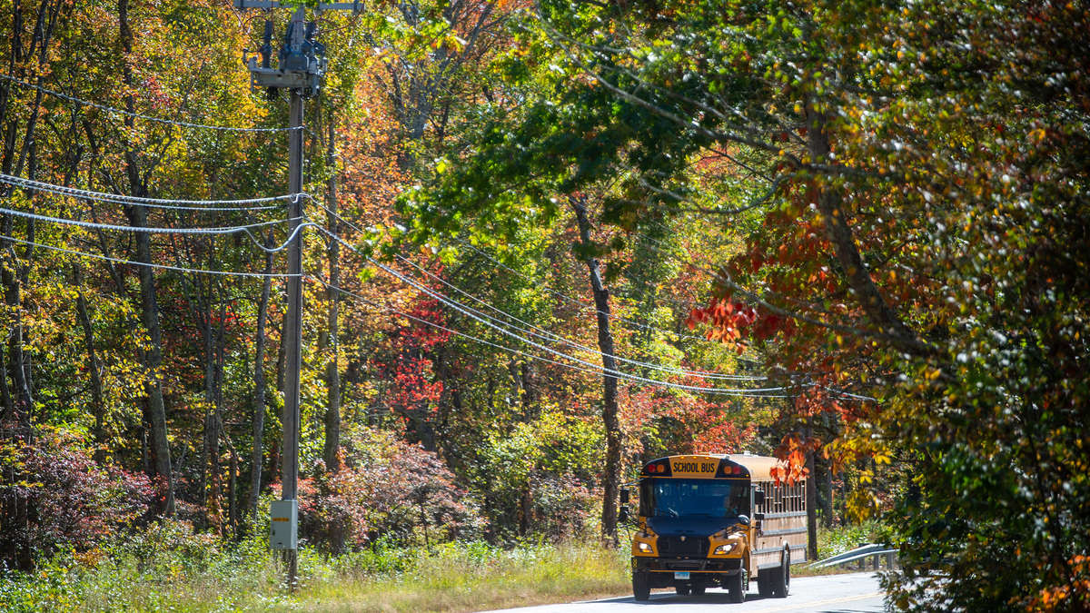 A new report shows Connecticut is among the most segregated states both by race and economics. A school bus travels along Route 169 in Woodstock, Conn., on Oct. 10, 2025. (Aaron Flaum/Hartford Courant/TNS)
