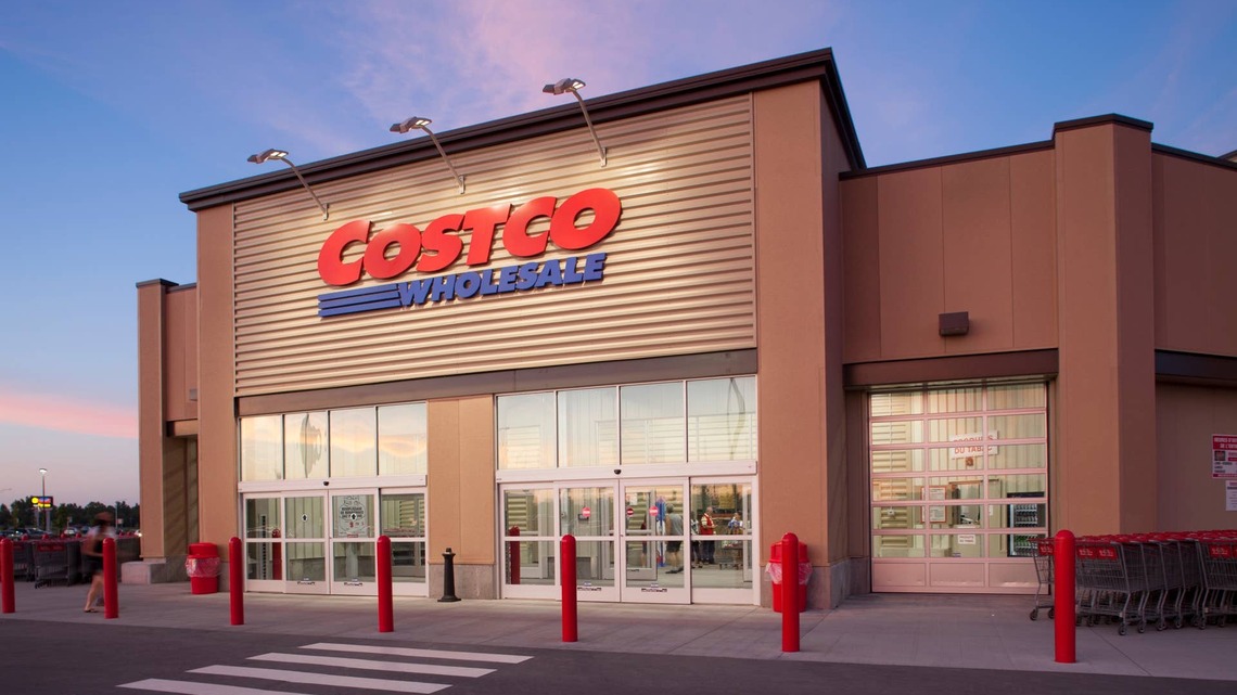 Costco's New 64-Inch Cat Tree Combines Feline Fun With Chic Style