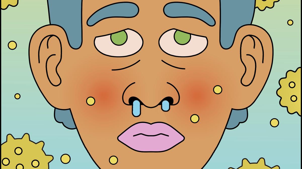 About a quarter of adults in the United States have seasonal allergies, and they can become sensitized over a single exposure to pollen or over several allergy seasons. (Jackson Gibbs/The New York Times) -- FOR EDITORIAL USE ONLY WITH NYT STORY SCI SEASONAL ALLERGIES BY SIMAR BAJAJ FOR APRIL 27, 2026. ALL OTHER USE PROHIBITED. --