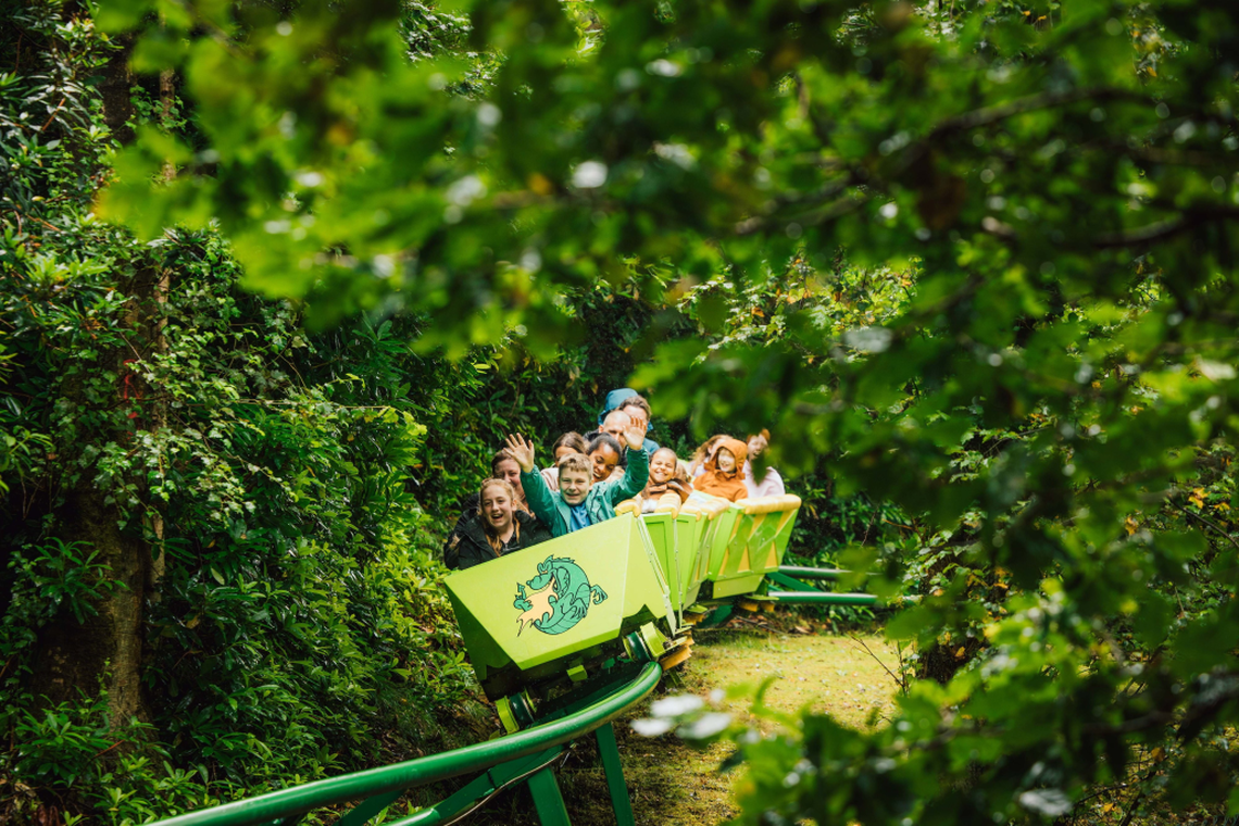  (Continuum Attractions via SWNS) 