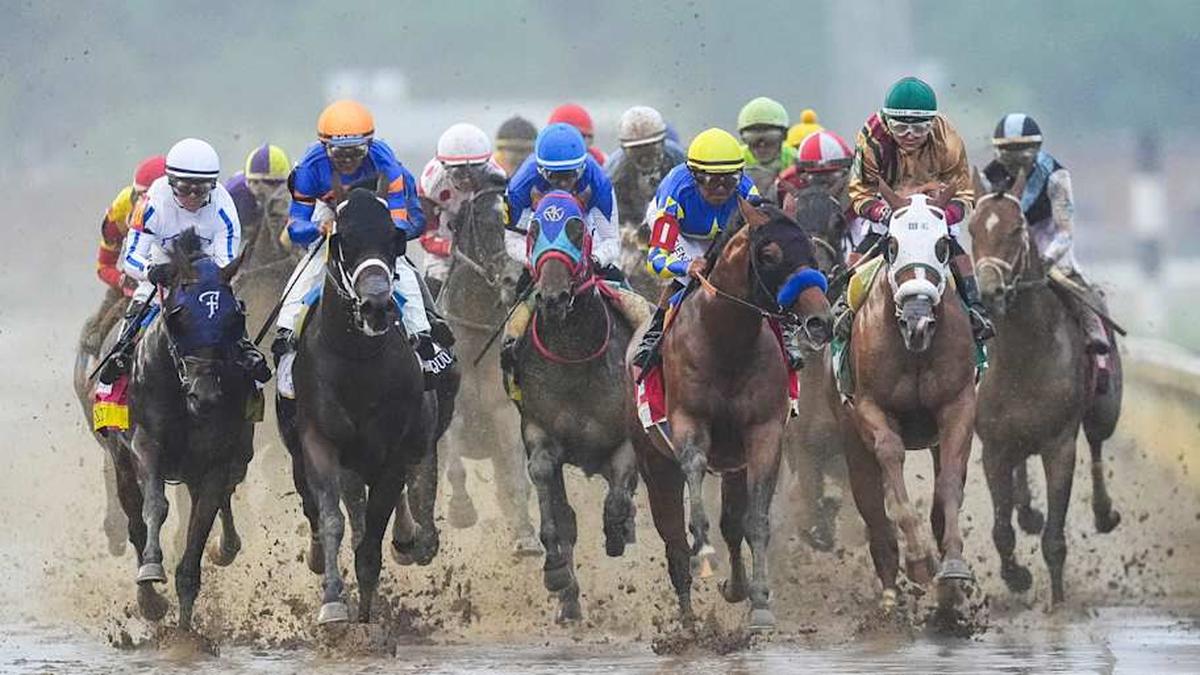  A field of 20 horses compete in the annual Kentucky Derby at Churchill Downs | Matt Stone/Courier Journal / USA TODAY NETWORK via Imagn Images 