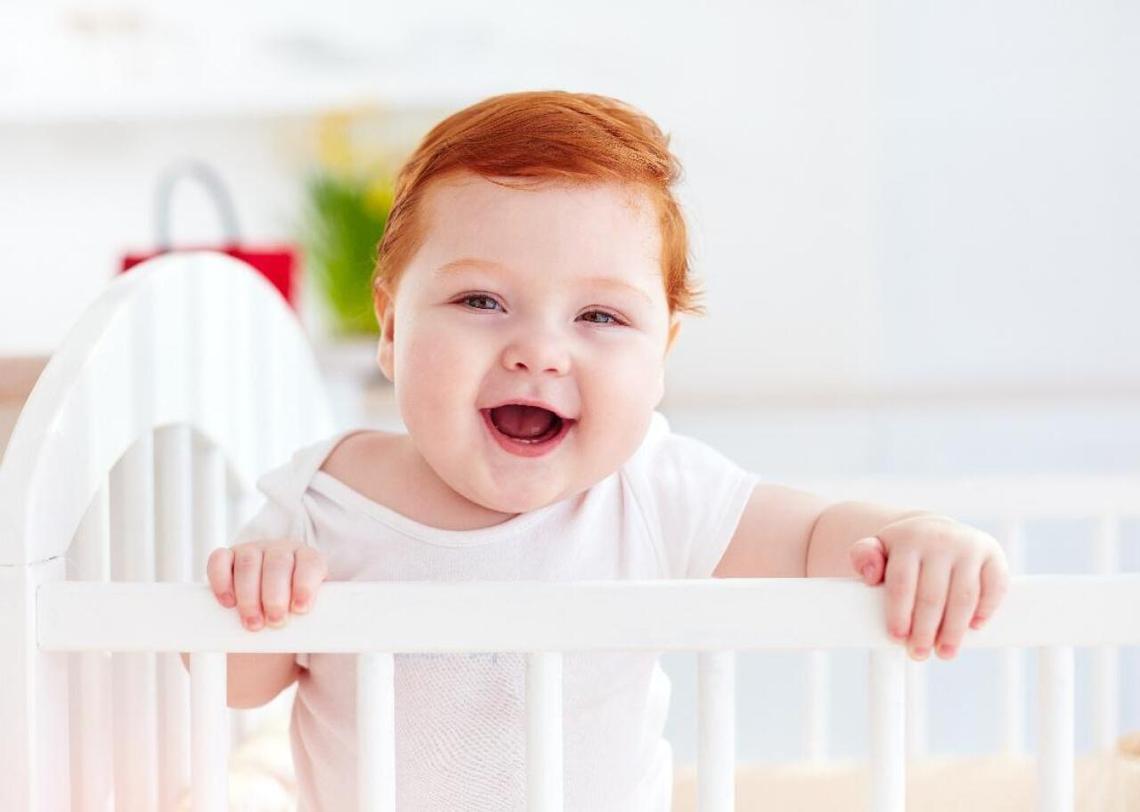  Olesia Bilkei // Shutterstock 