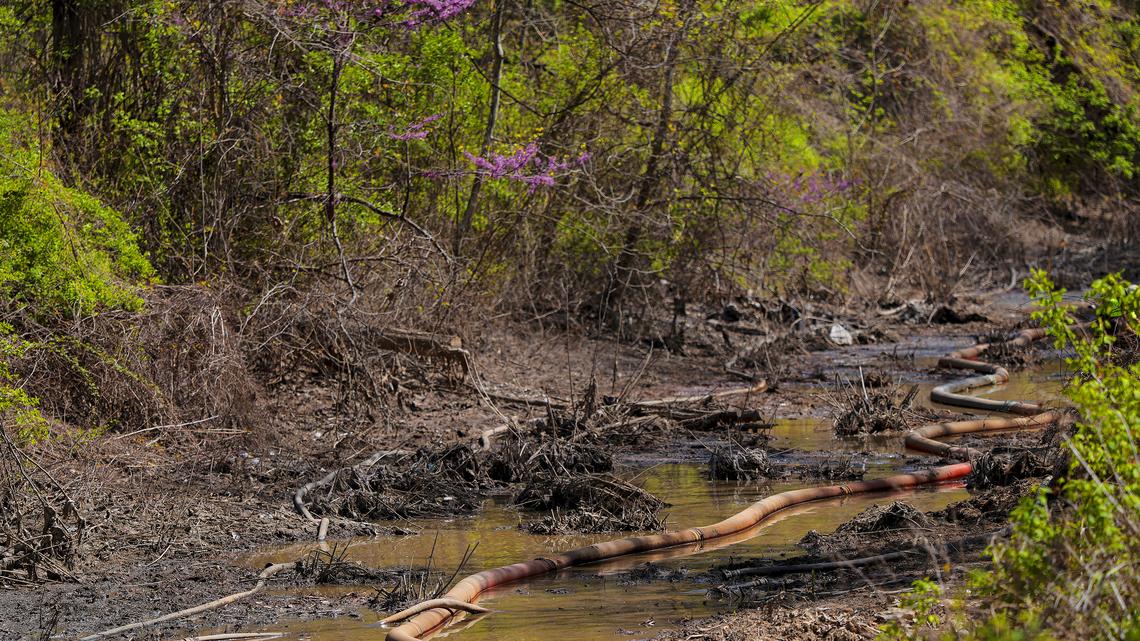 Workers continue to clean up the sewage spill along the C&O Canal on April 07, 2026 in Cabin John, Maryland. On April 2 the President of the Potomac Riverkeeper Network released a statement about the sewage spill saying it was not an accident, rather a mix of aging infrastructure colliding with bureaucratic delays and a lack of accountability. (Heather Diehl/Getty Images/TNS)