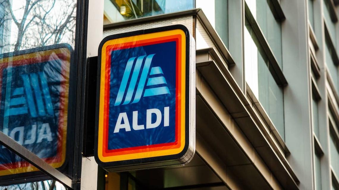 Aldi's $5 Plush Find Turns Summer BBQ Classics Into Tail-Wagging Playtime Favorites 