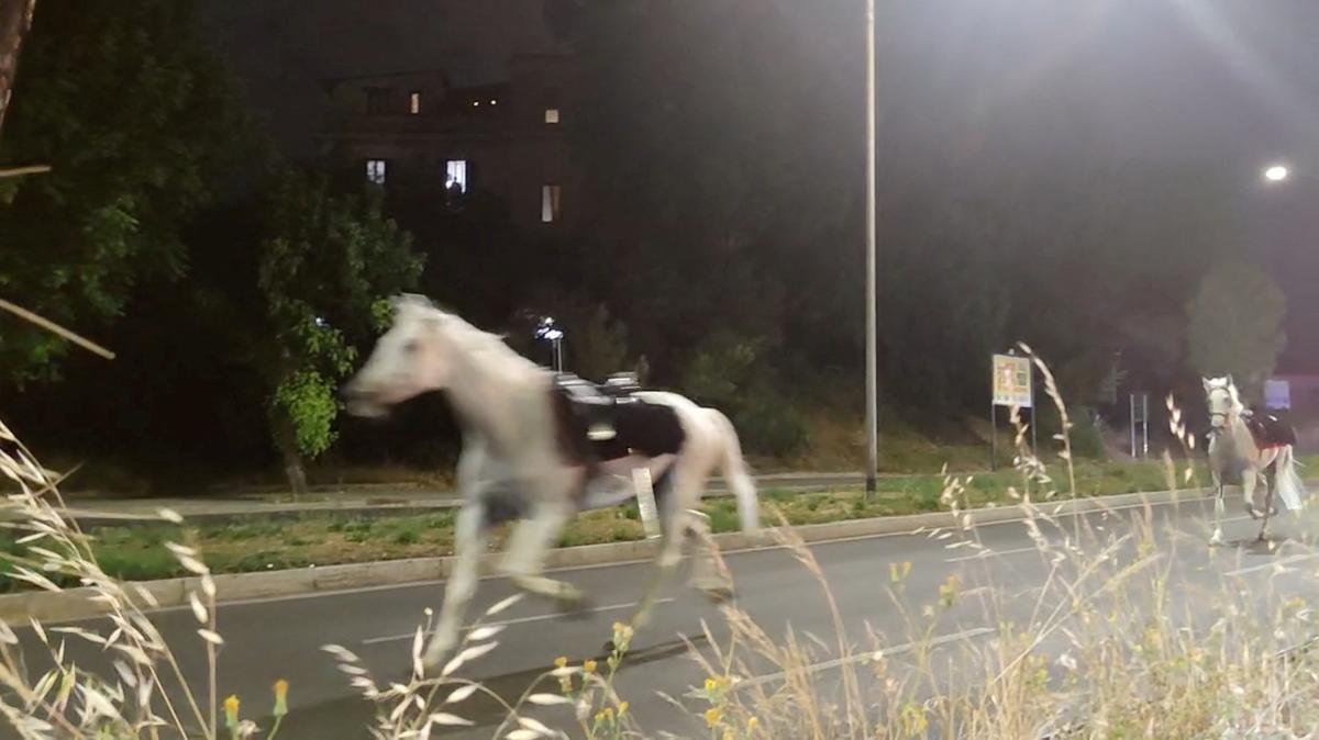 Horses on the loose gallop during the nighttime rehearsals for a parade to mark the 80th anniversary of the Italian Republic, in Rome, Italy, May 29, 2026, in this screengrab obtained from a social media video. Lucio Virzi Fotografo/via REUTERS