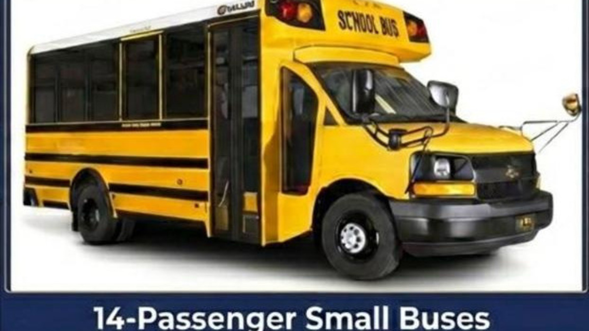 The Palm Beach County School District is buying 15 smaller, 14-passenger school buses and will put them on the road when the new school year begins in August 2026.