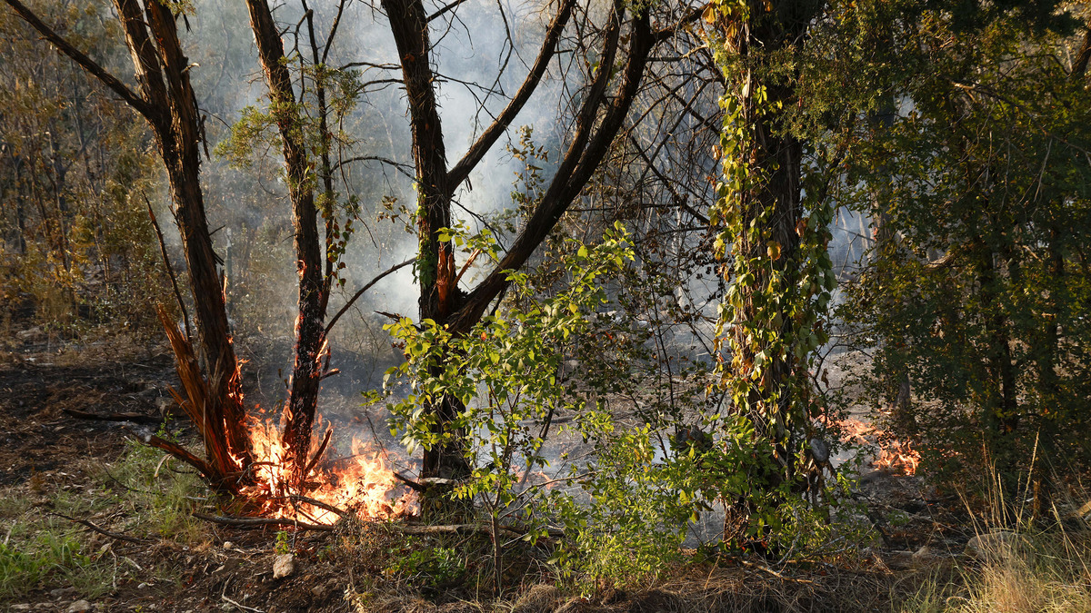 Ross fire scorches 85,300 acres as crews push to contain North Texas blaze