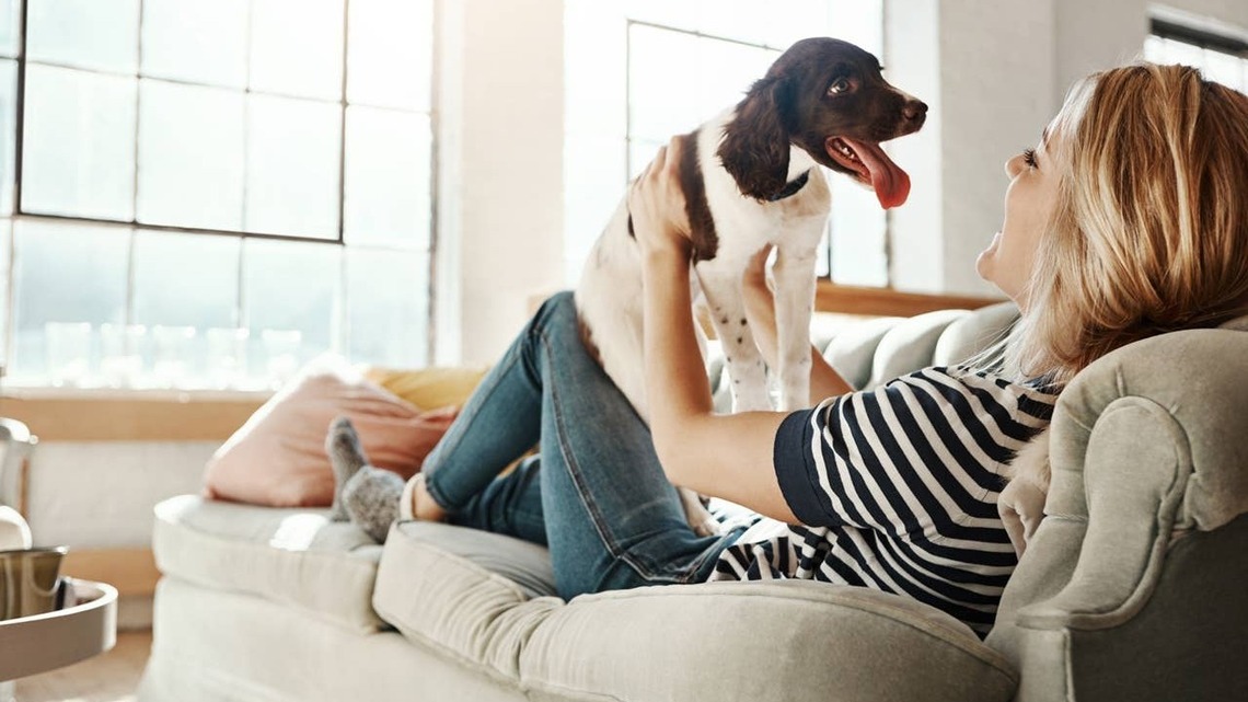 If Your Dog Feels Deeply Connected to You, Vets Say These 5 Signs Will Show It 