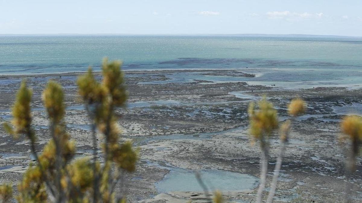 Crisosto said criminal groups have altered their traditional routes to evade intensified international enforcement efforts, leading them to focus on the Strait of Magellan, which connects the Pacific and Atlantic oceans. File Photo by Jose Caviedes/EPA