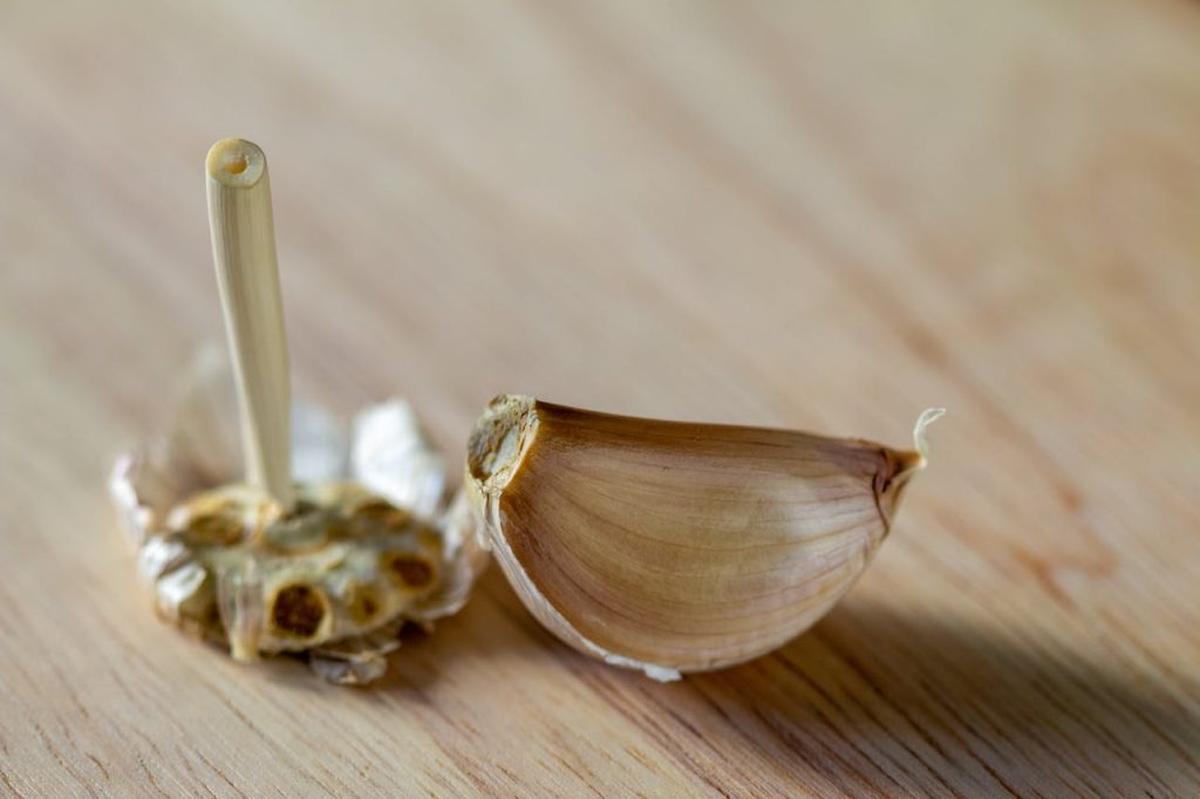  (Photo by Picas Joe via Pexels) 