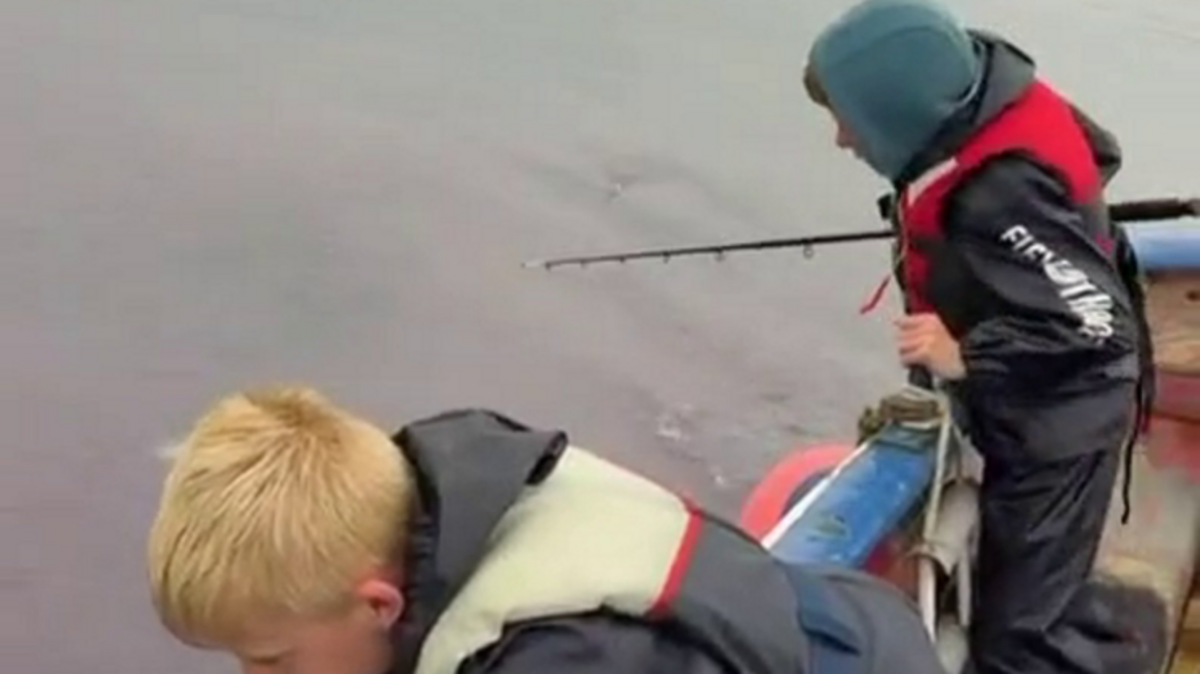 Family on fishing trip sail into massive ‘sea of jellyfish'