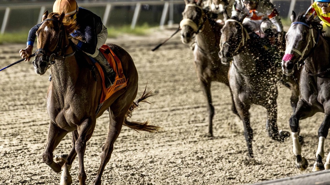 Little Miss Curlin Denies Secret Faith Repeat In Delta Downs' Magnolia 