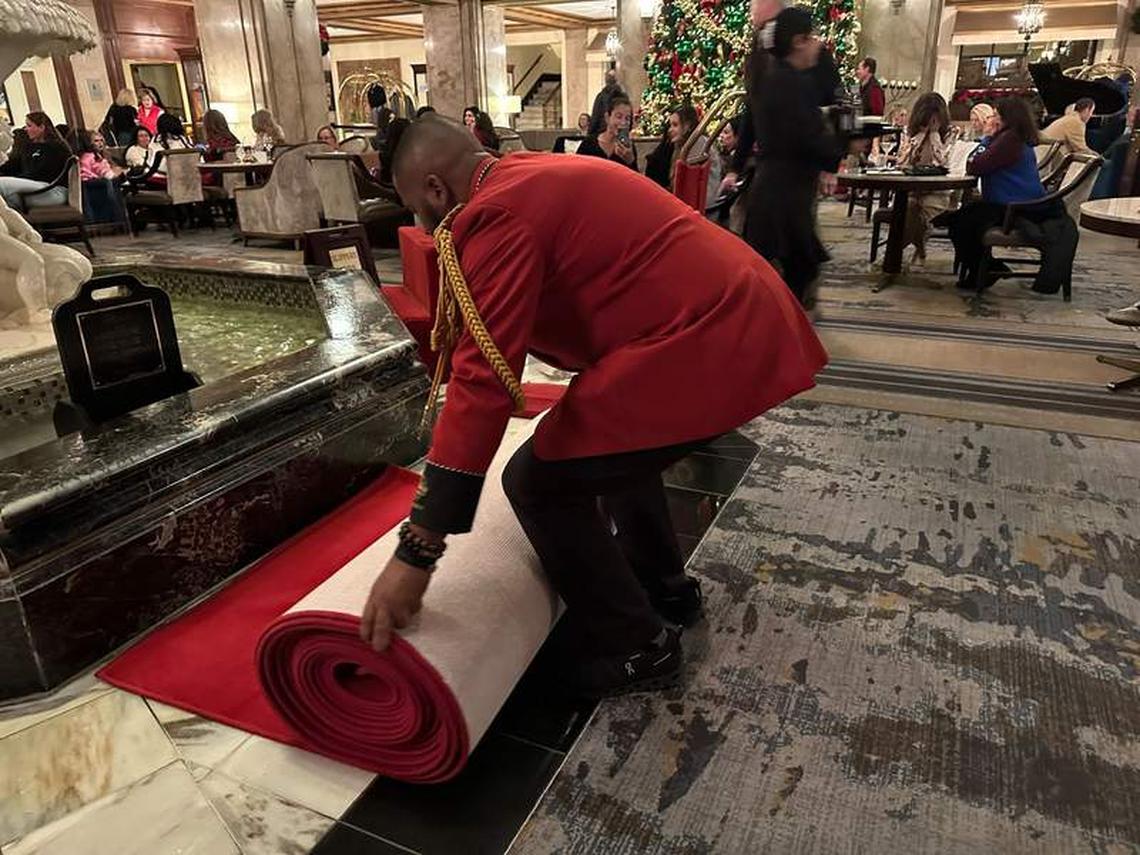  The Duckmaster unrolling the red carpet for the ducks. Photo credit: Robin O’Neal Smith 