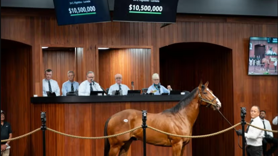 $10.5-Million Flightline Colt Zedan To Ship To Churchill Downs Soon 