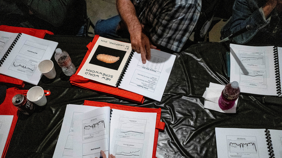 FILE PHOTO: Paul Janda, a cattle rancher from Schulenburg, Texas, examines documents covering economics and the threat of the New World Screwworm parasite during the Fayette County Cow/Calf Clinic and Trade Show in La Grange, Texas, U.S., May 1, 2026.  REUTERS/Joel Angel Juarez/File Photo