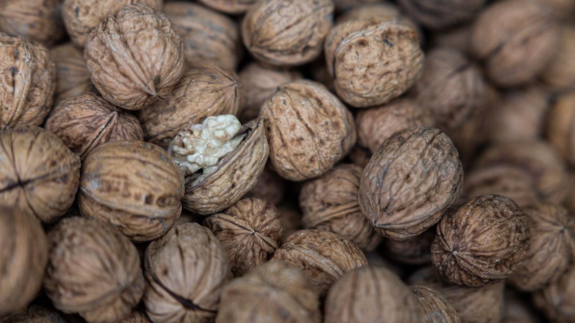 European nut-growers cautiously see silver lining in warmer weather 