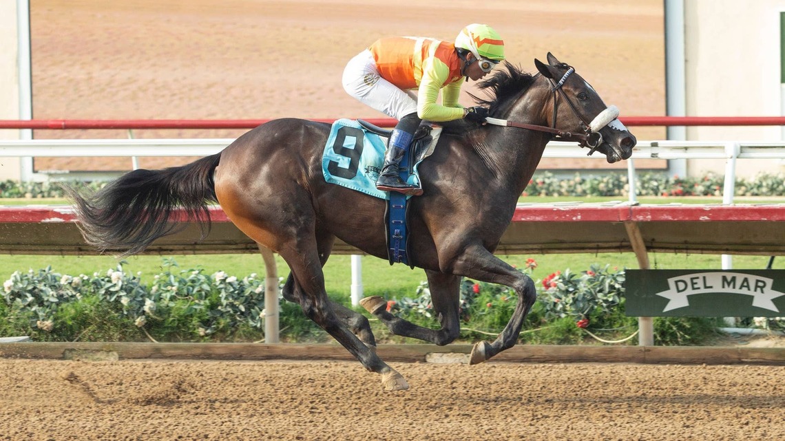 ‘Definitely A Two-Turn Horse': Daytona Diamond Makes Stakes Debut In Generous Portion 