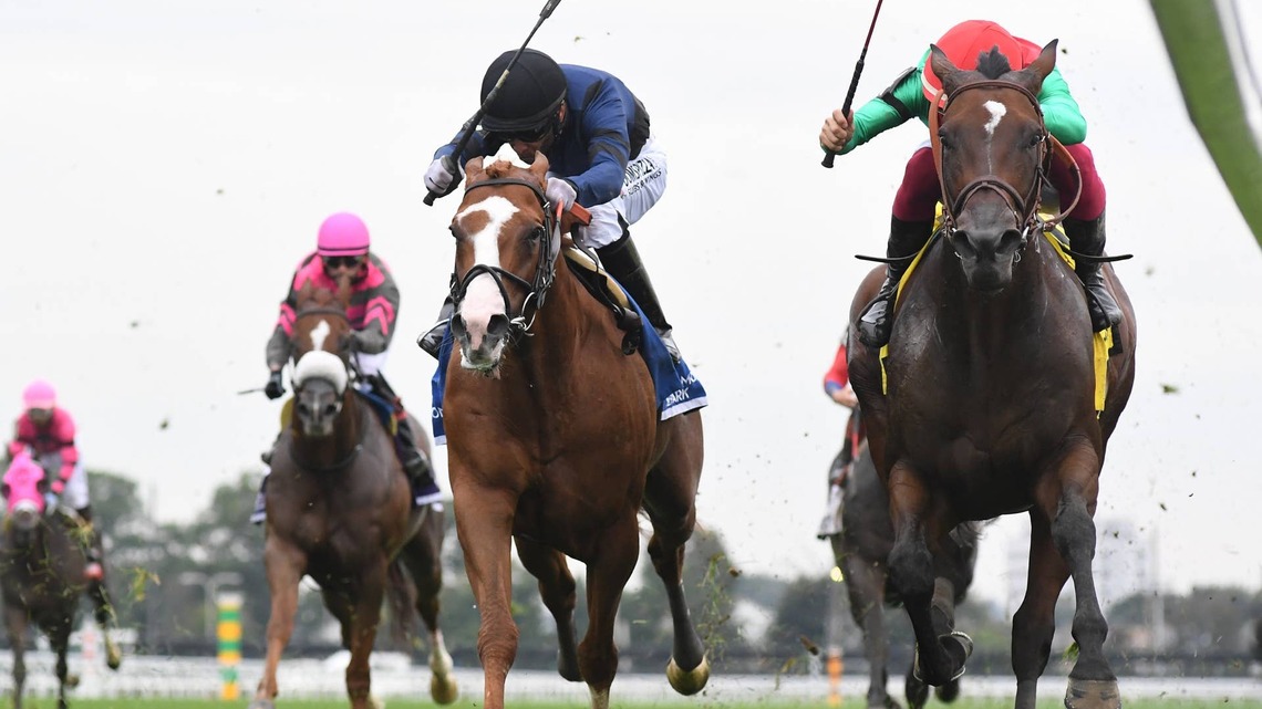 ‘Exceeded Our Expectations': 31-1 Egyptian Mau Skims Rail For Belmont Turf Sprint Score  