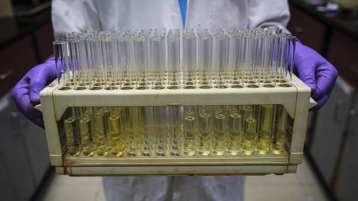 FILE PHOTO: An employee carries test tubes inside a laboratory, August 11, 2014. REUTERS/Danish Siddiqui/File Photo