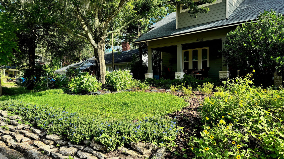 Gardening: ‘Florida Friendly' – Conservation through creative landscaping