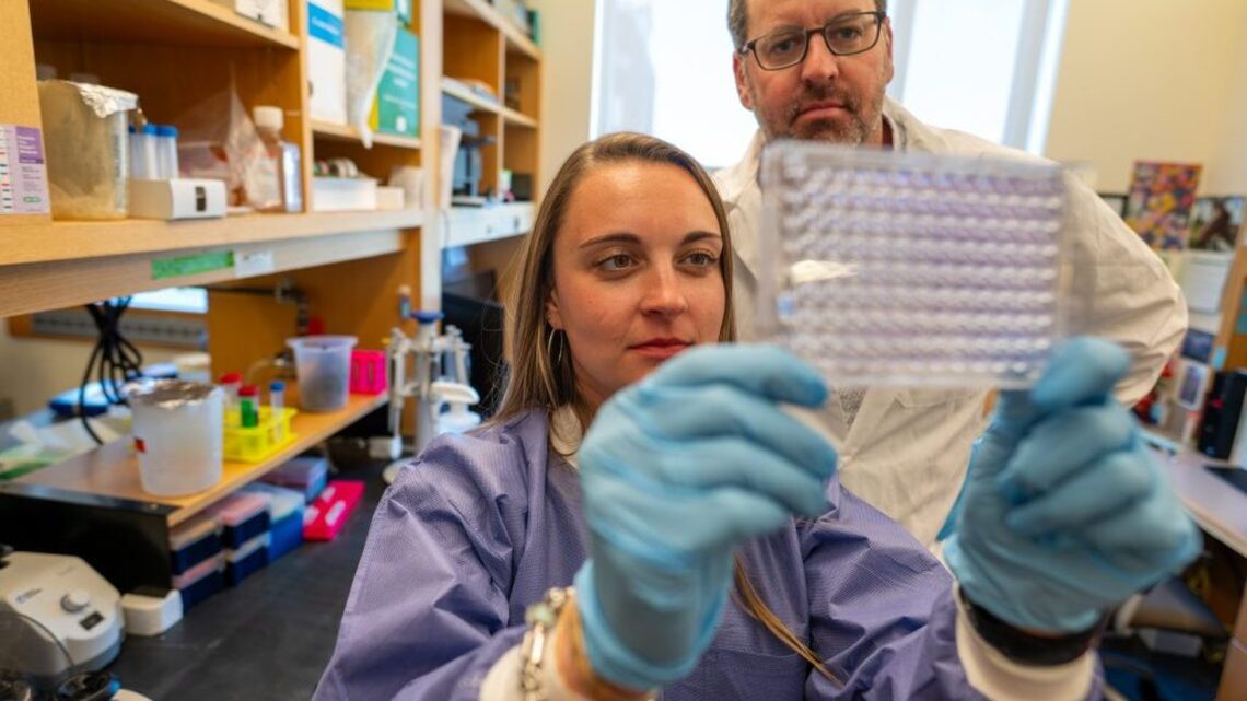 ‘Game changer' drug turns cancer's defenses against itself