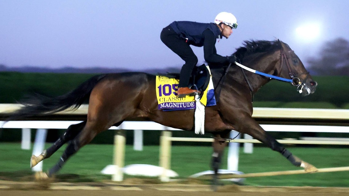 Magnitude Ready To Shake Up Breeders' Cup Classic 