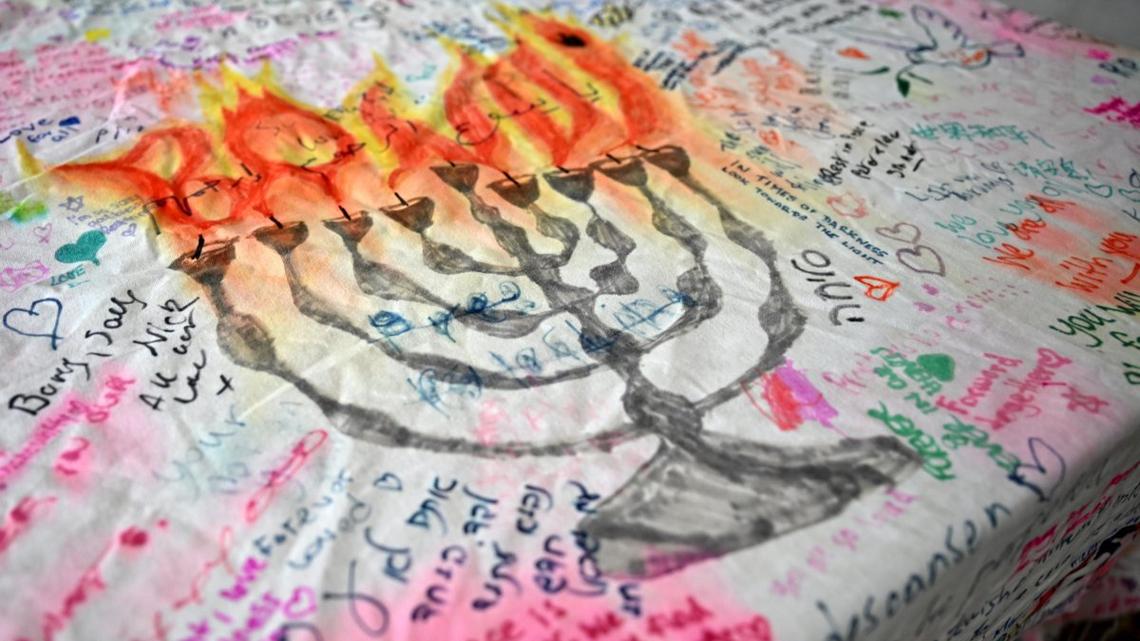 Australia anti-Semitism inquiry begins in wake of Bondi Beach attack 