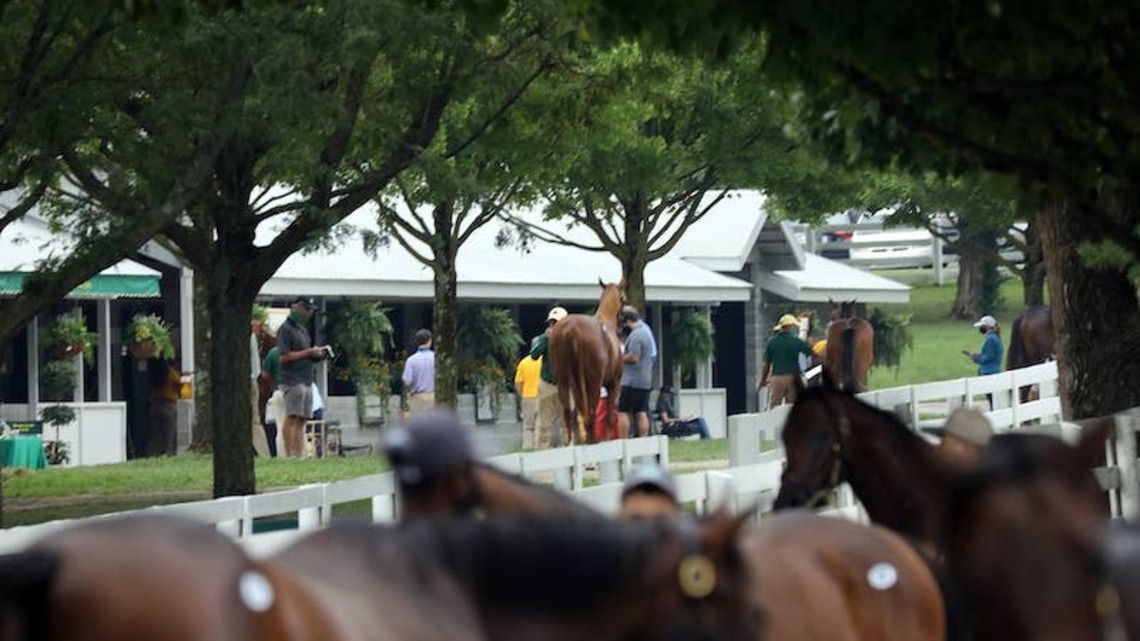 Keeneland Adds Two Horses To Book 1 Of 2026 September Yearling Sale 