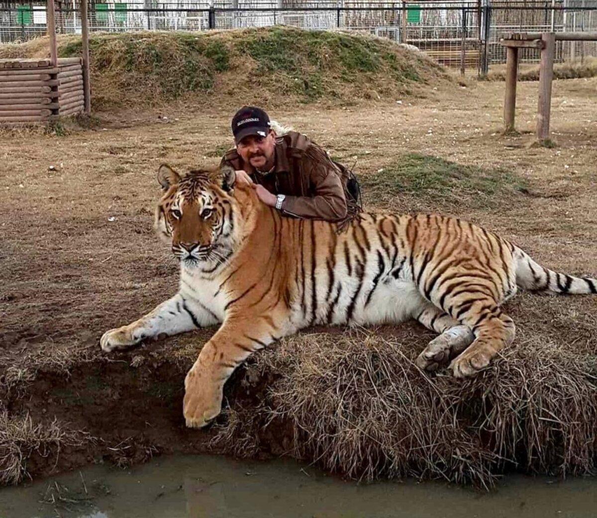  Joe Exotic poses with a tiger. (JoeExoticTV via SWNS) 