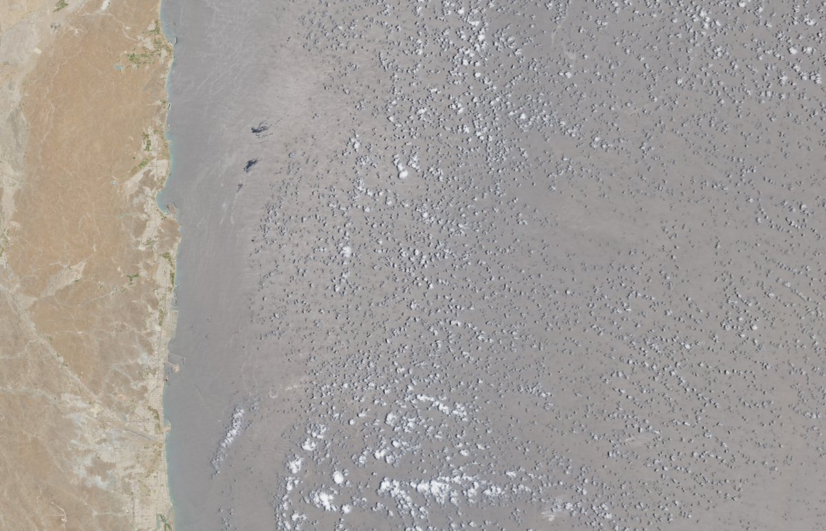 A satellite image of side-by-side ships at sea, off the coast of Fujairah, United Arab Emirates, June 6, 2026.  European Union/Copernicus Sentinel-2/Handout via REUTERS