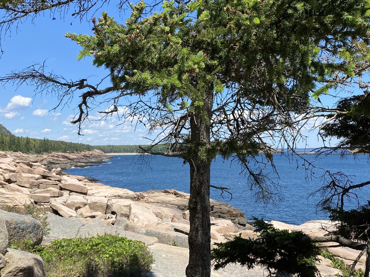  Beautiful ocean vistas greet you along the path in Acadia National Park. Photo credit: Terri Marshall 