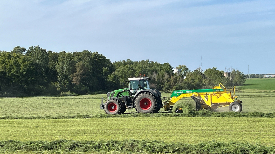 How cooperatives help farmers thrive in tough times | Opinion 