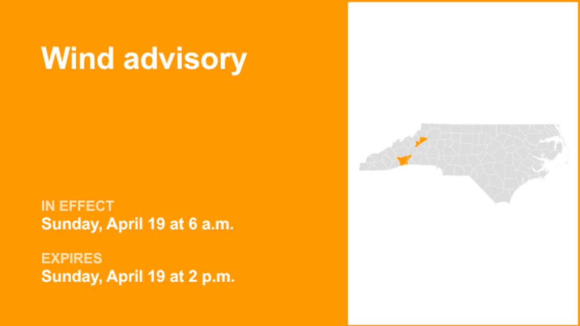 unitedrobots photography