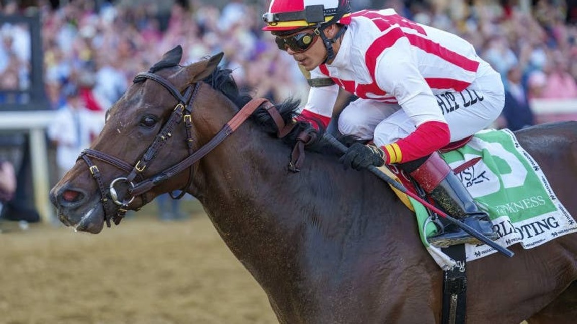 'He Loved Being A Star': Preakness Winner Early Voting Dies Of Colic At Age 7 