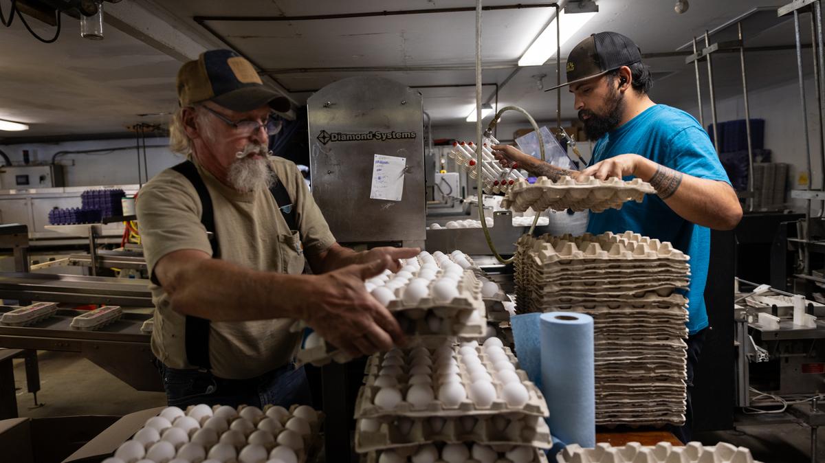 Ohio Department of Health reports first human case of bird flu.