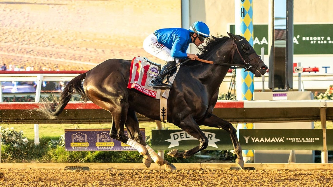 Josh Isner Takes Ninth Pacific Classic Betting Challenge 