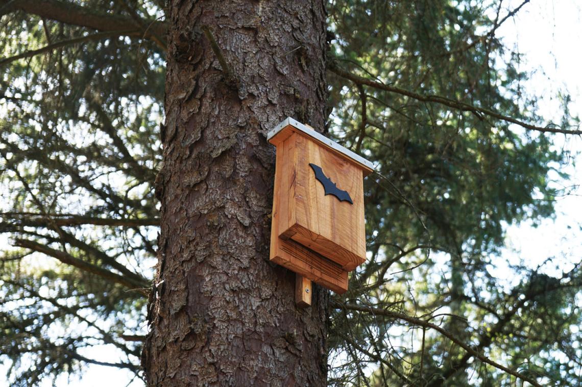  A bat house to attract bats to a yard, helping control insects naturally at night. 