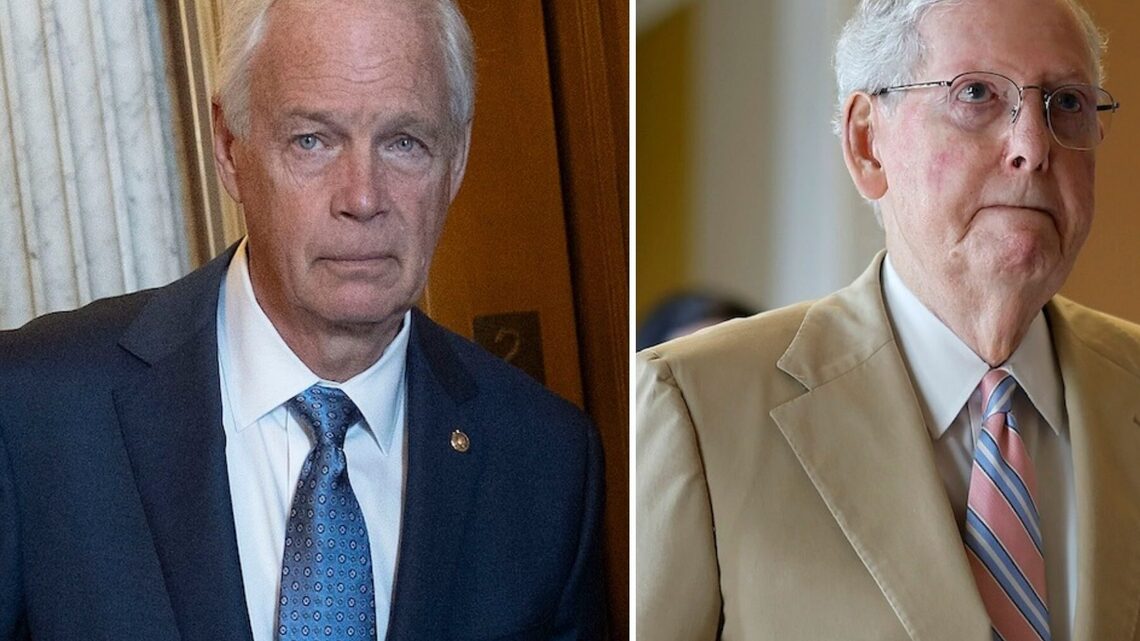 Sen. Ron Johnson Makes Shocking Claim About Mitch McConnell's Hospital Photo 