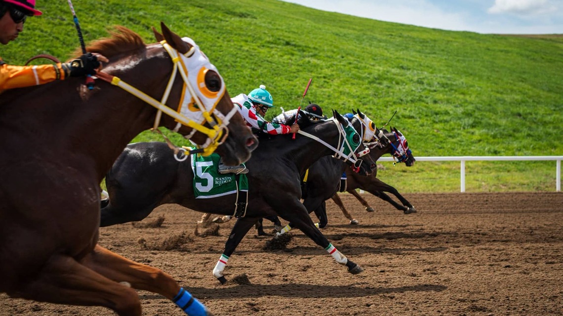 Dale Romans Presses Kentucky Regulators Over Fatalities At Ellis, Quarter Horse Meet 