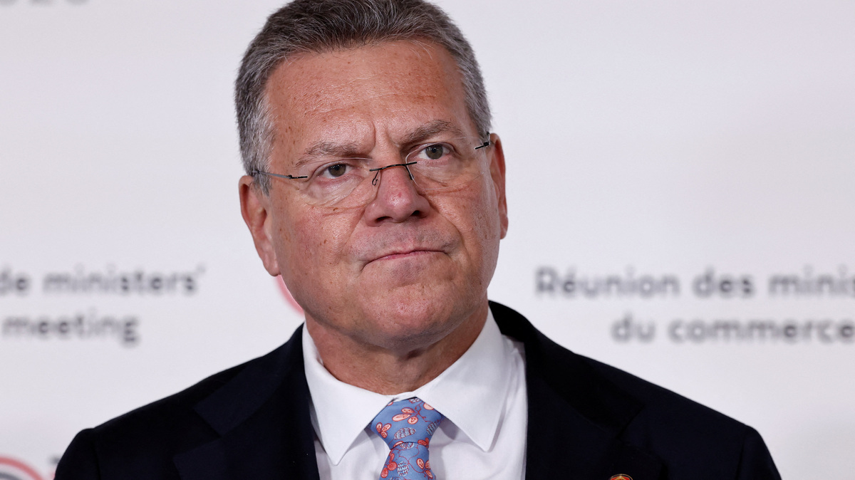 European Commissioner for Trade and Economic Security Maros Sefcovic speaks to the media as he arrives to attend a meeting of G7 trade ministers in Paris, France, May 6, 2026. REUTERS/Benoit Tessier/Pool