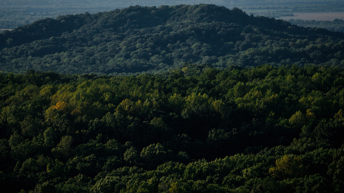 Commentary: Roadless areas in our national forests need to stay roadless