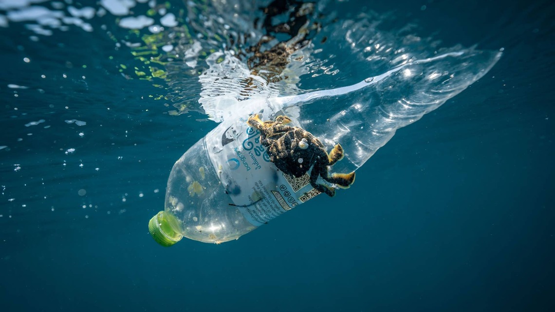 Plastic Bottles and Caps Are the Most Common Trash on the World's Beaches, According to the 2025 International Coastal Cleanup 
