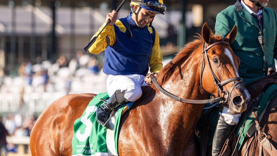 Jockey Of The Week: Luis Saez Wins 11 Races, Two Stakes 