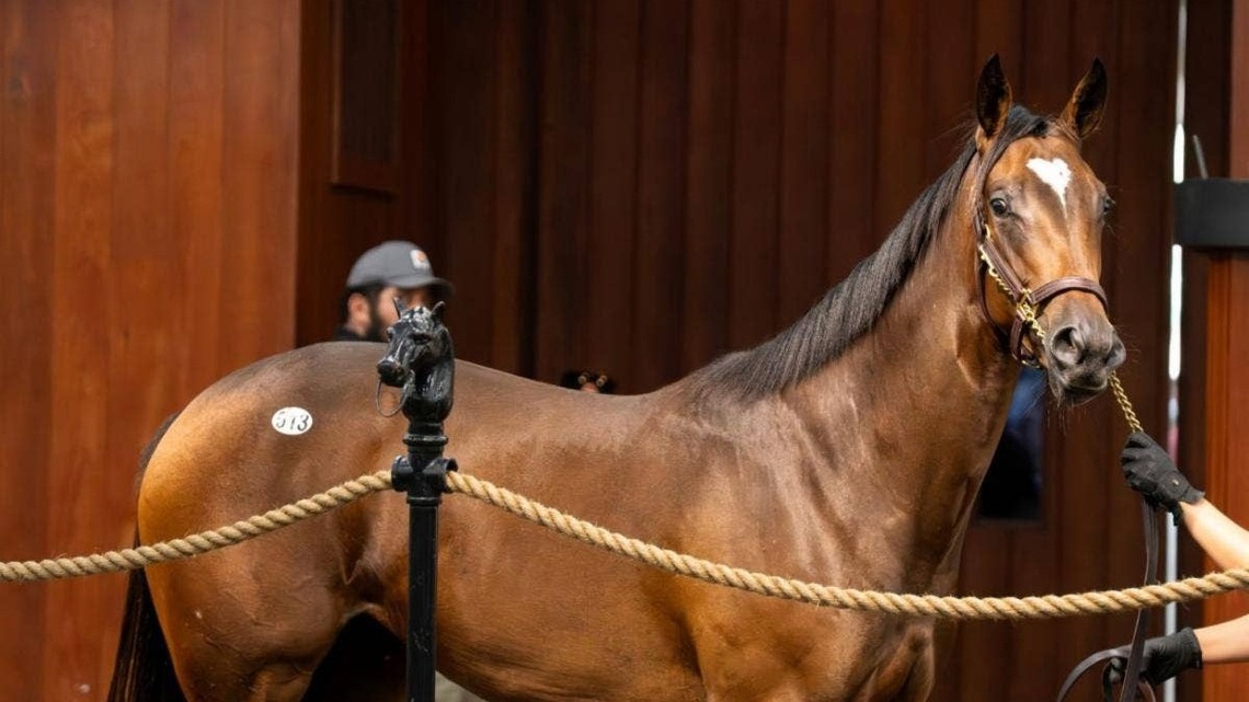 Total Of 60 Supplements Added To OBS October Yearling Sale 