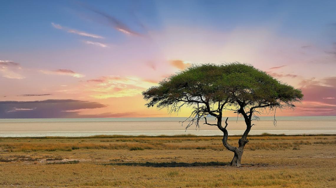 The Most Dangerous Animal in All of Africa Isn't a Lion or Rhino - Most People Never Guess It 