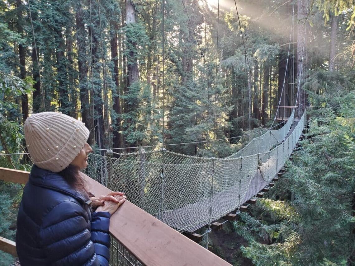  The new quarter-mile Redwood Sky Walk enables visitors to walk 100 feet above the forest floor in Eureka. Photo credit: Redwood Sky Walk 
