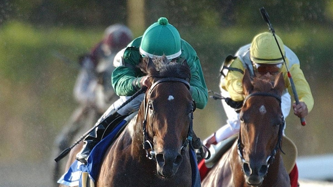 Mineshaft: A Jockey Club Gold Cup Win That Cemented A Championship Season 