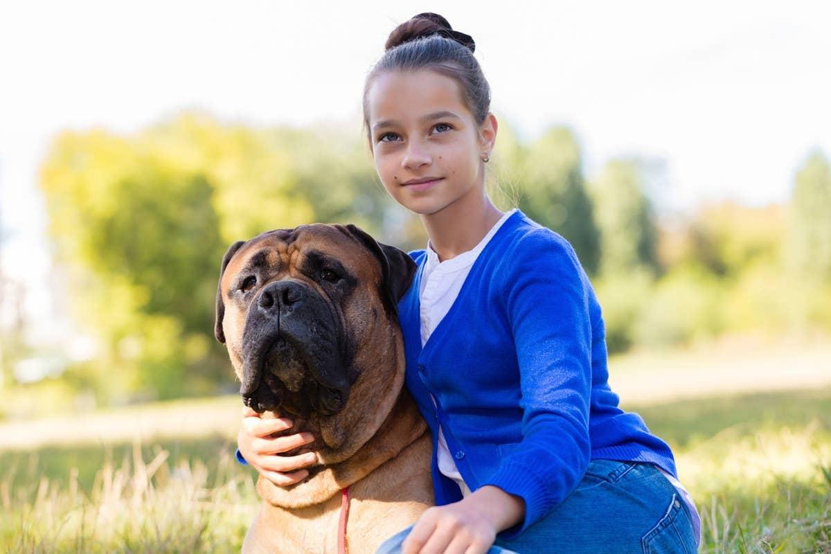  A guard dog good with kids sitting outside with a girl.